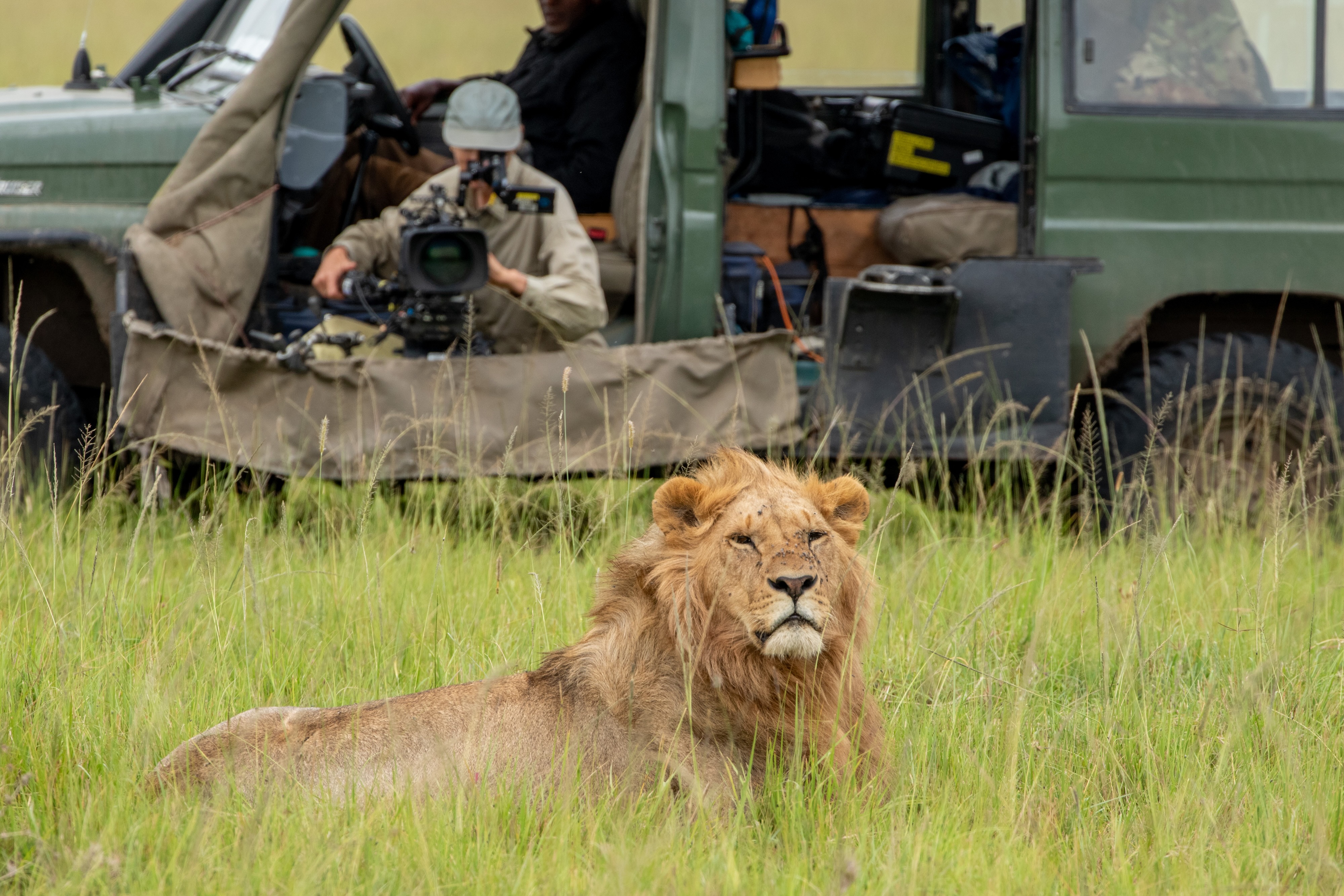 Kio and Sophie Darlington, ASC filming for National Geographic's Lion. Photo courtesy of National Geographic/Laura McCamley