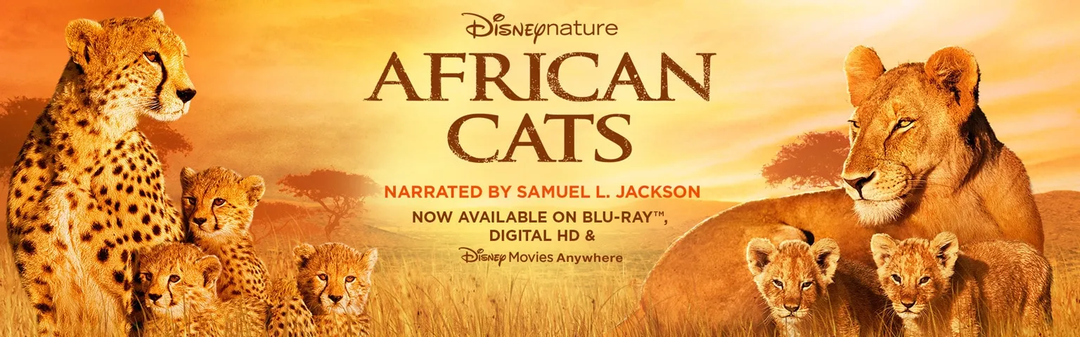 African Cats Promotional image for African Cats