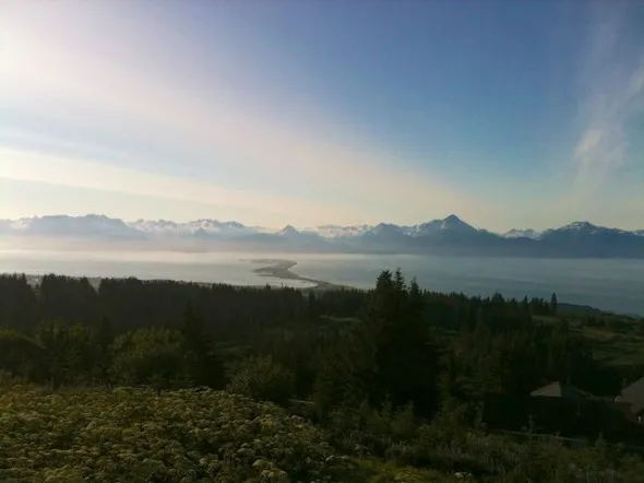 A secret squirrel in Homer, Alaska.