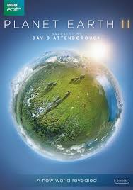 Still from Planet Earth Two
