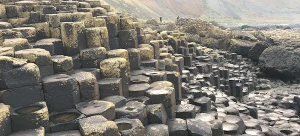 Image related to Winterwatch at Giant's Causeway