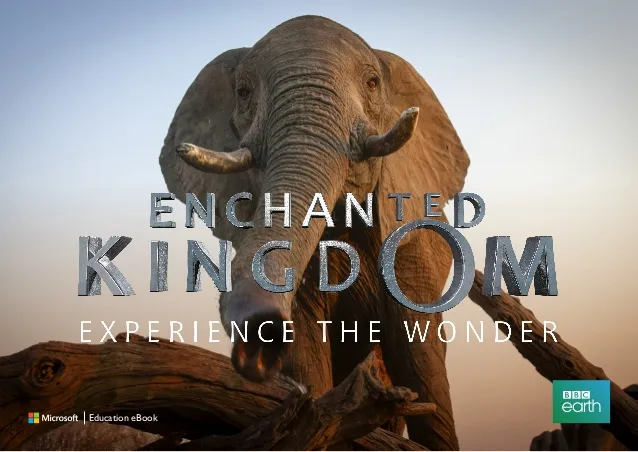 bbc-enchanted-kingdom-experience-the-wonder-free-set-of-project-based-learning-resources-1-638 BBC Enchanted Kingdom promotional image