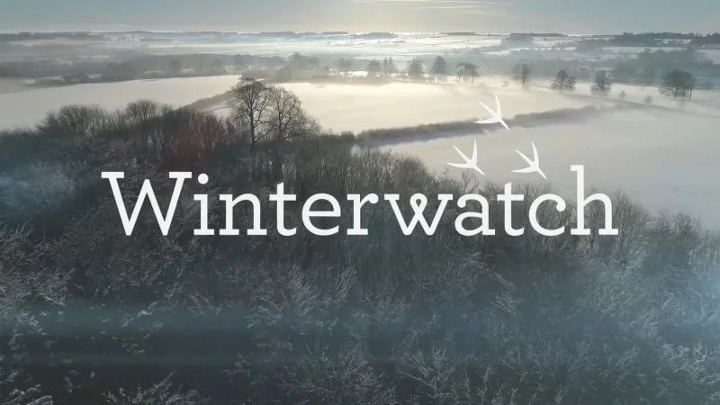 Winterwatch 2018 Promotional image for Winterwatch 2018