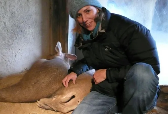ZSL SD and Aardvarks Sophie Darlington with two aardvarks at The Zoological Society of London's Children's Exhibit.