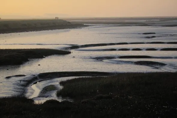 MudFlatsII_Norfolk_2011 Ramblers walking the Norfolk coastal path at dusk, with a view of the mudflats.