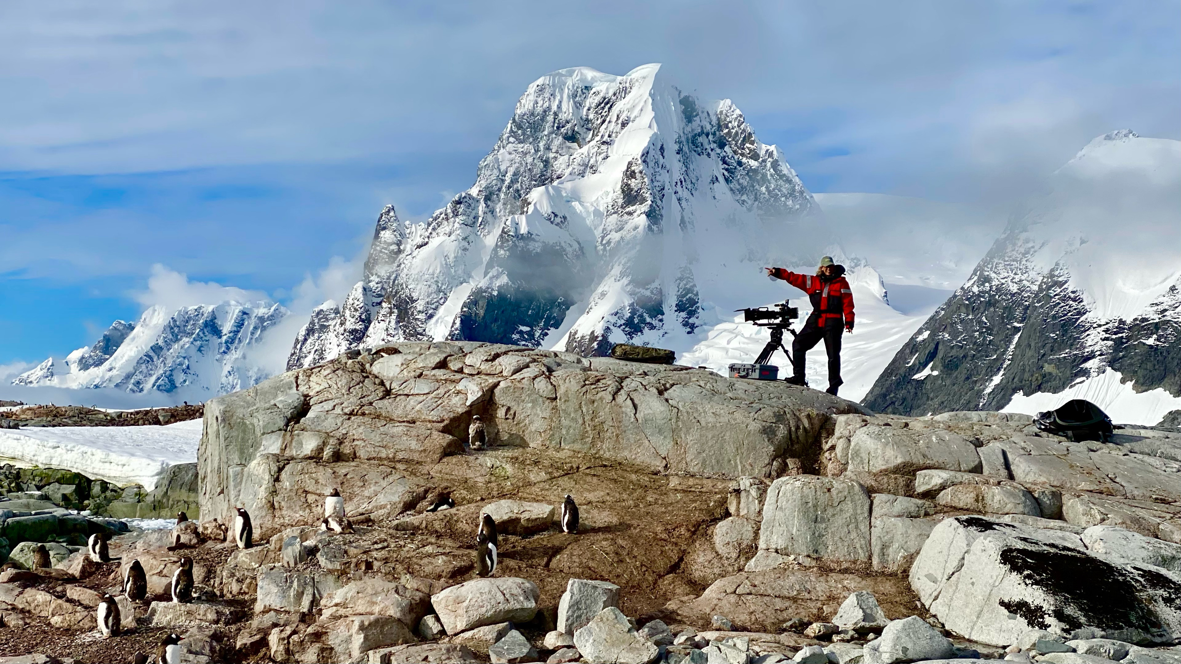 Gentoo penguins and Sophie Darlington on location in Antarctica