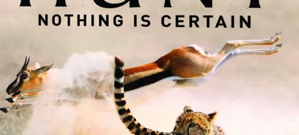 Promotional image for The Hunt