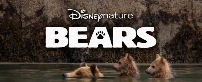 A snippet of bears