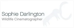 Sophie Darlington Logo