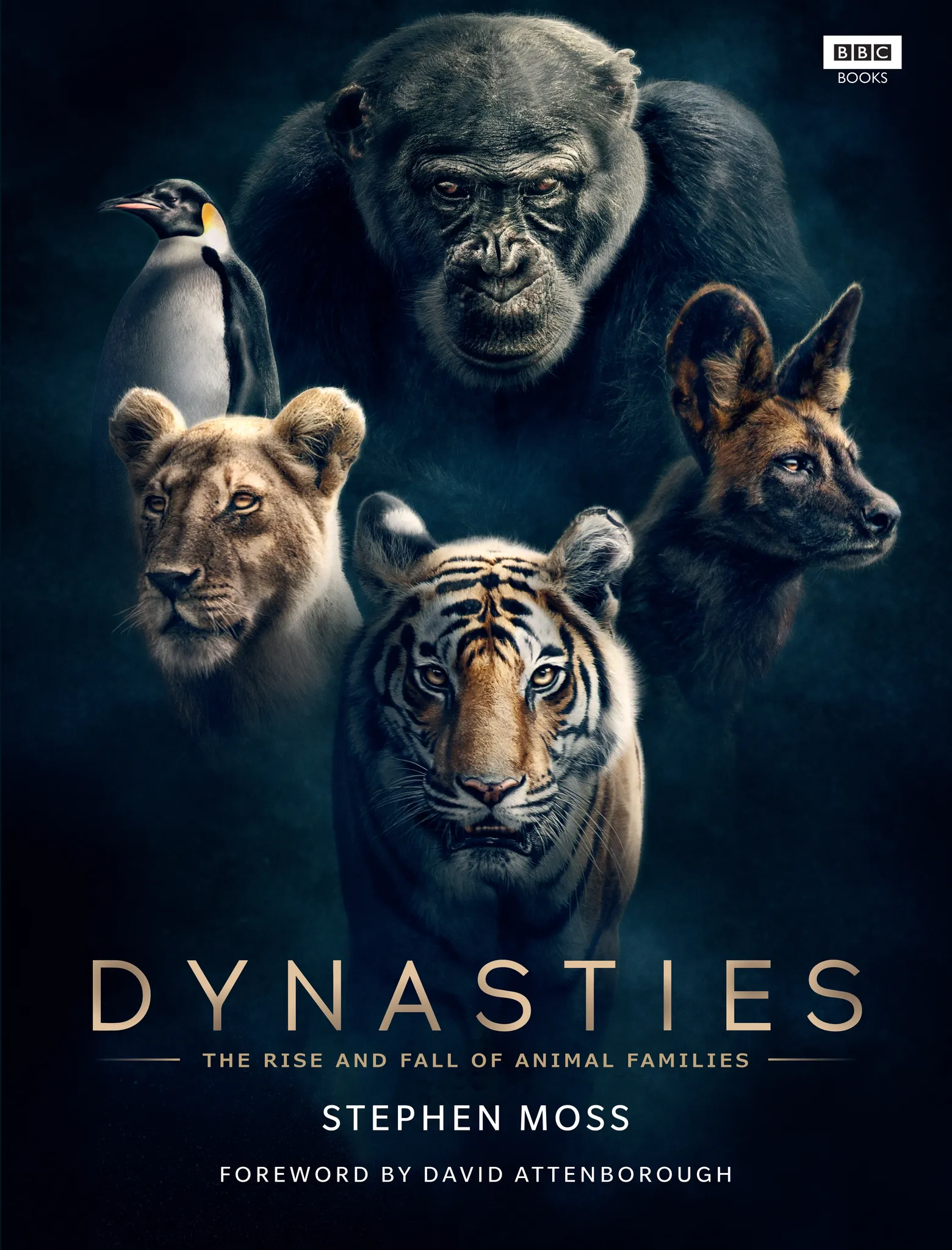 Dynasties book cover Cover of the Dynasties book
