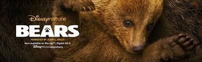Bears, Disney Nature Promotional image for Disney Nature's Bears