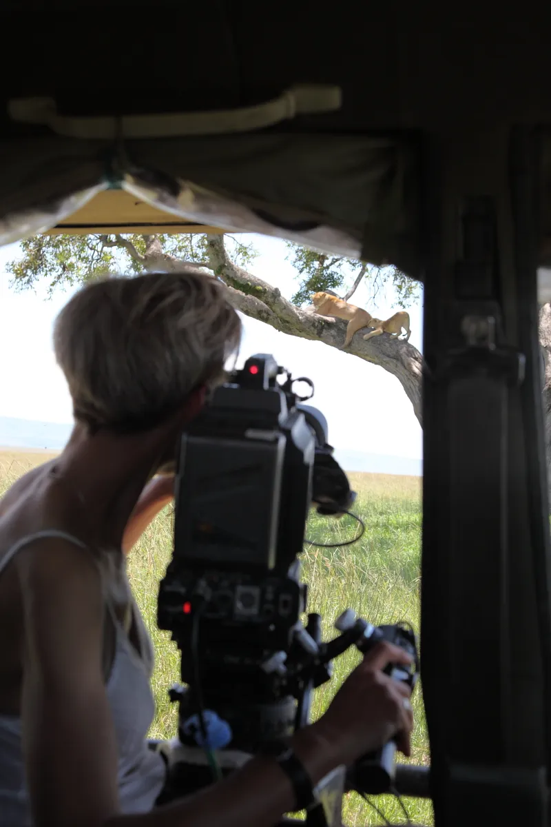 Sophie Darlington filming lions Moja and Nyota for Planet Earth Live